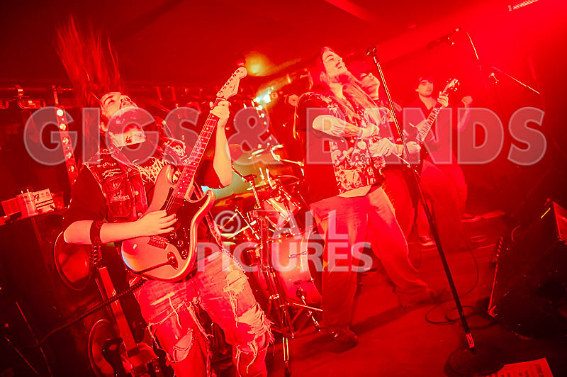 Stone Em All-236 - STONE EM ALL