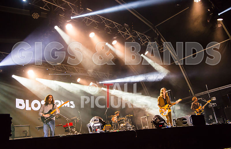 Blossoms-40 - BLOSSOMS