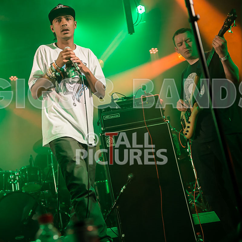 The Mouse Outfit-42 - THE MOUSE OUTFIT