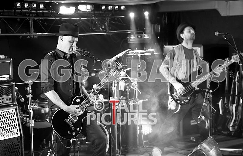 Peppered Ant Legs-89 - PEPPERED ANT LEGS