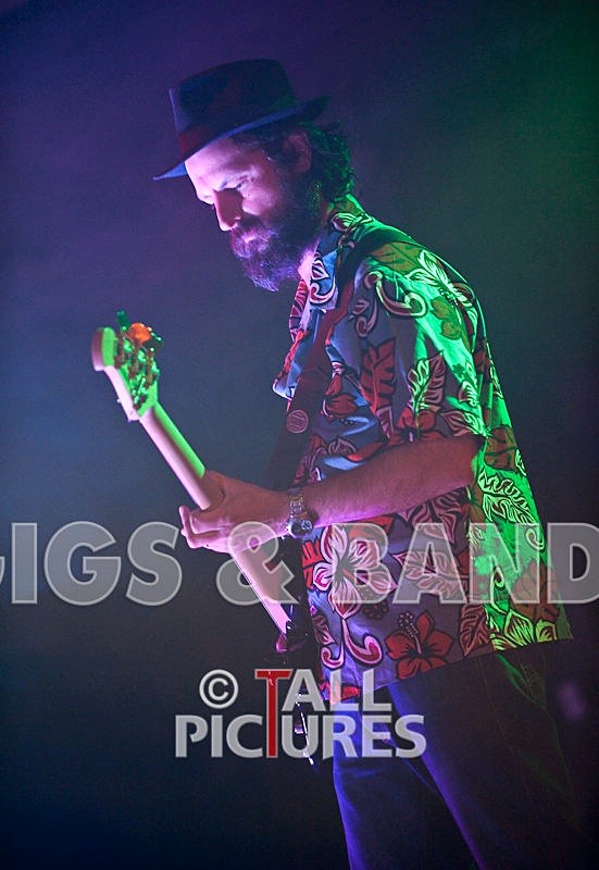 Peppered Ant Legs-34 - PEPPERED ANT LEGS at RoA-3