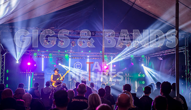 Peppered Ant Legs-211 - PEPPERED ANT LEGS