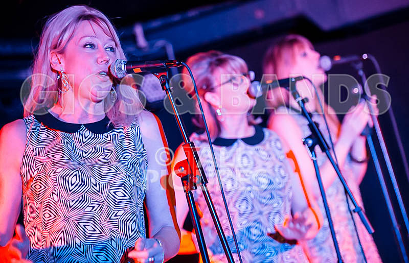 The Blondettes-29 - THE BLONDETTES