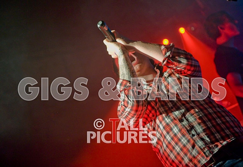 Brutus Stonefist-41 - BRUTUS STONEFIST at RoA-2