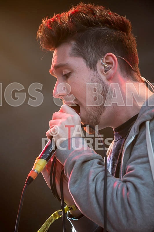 Bastille-8 - BASTILLE