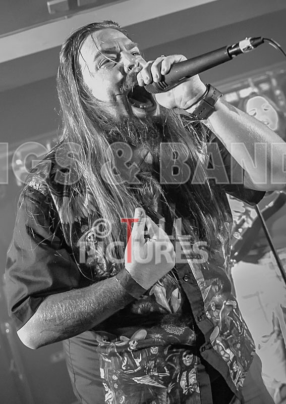 Stone Em All-231 - STONE EM ALL