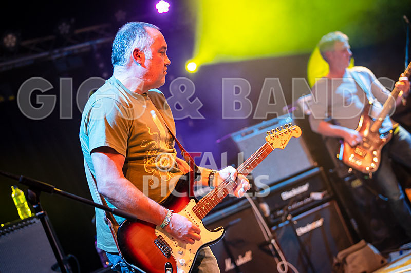 The Sacred Hearts-35 - THE SACRED HEARTS