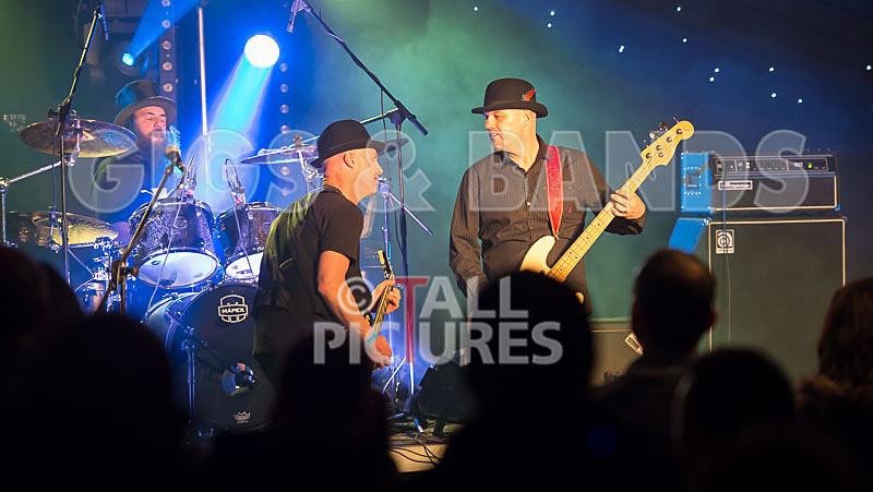 Peppered Ant Legs-202 - PEPPERED ANT LEGS