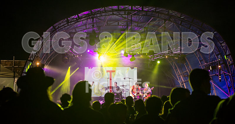 Vale Earth Fair 2015_Atmosphere-51 - VALE EARTH FAIR 2015_THE ATMOSPHERE