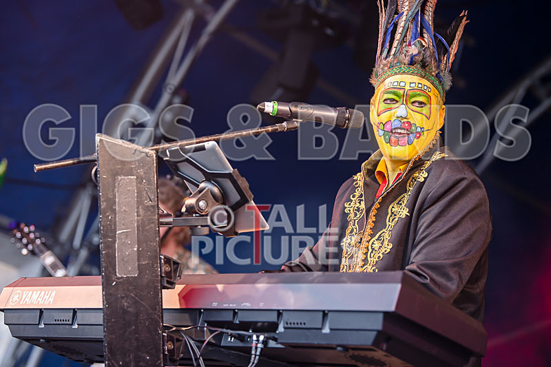 The Crack-78 - THE CRACK