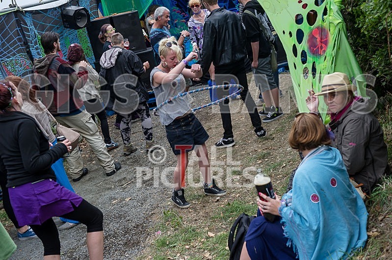 Vale Earth Fair_2013_Atmosphere-14 - VALE EARTH FAIR 2013_THE ATMOSPHERE