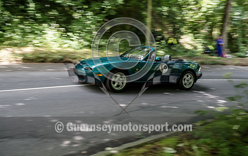 Heritage Charity Hillclimb_2014-216 - HERITAGE CHARITY HILL CLIMB 2014