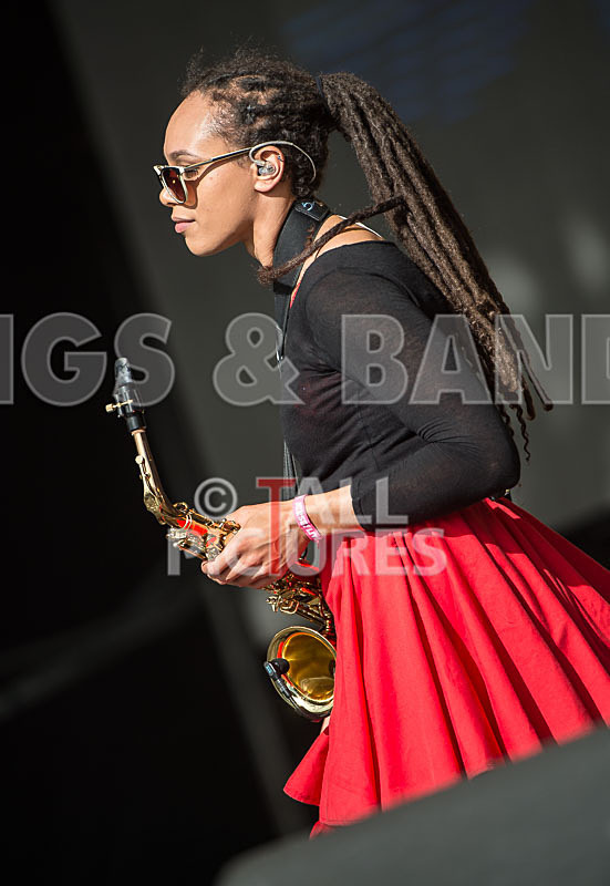 The Skints-17 - THE SKINTS