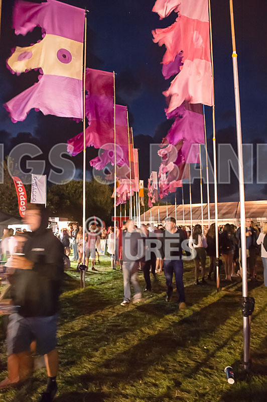 Jersey Live-2015_Scene-92 - JERSEY LIVE 2015 - THE ATMOSPHERE