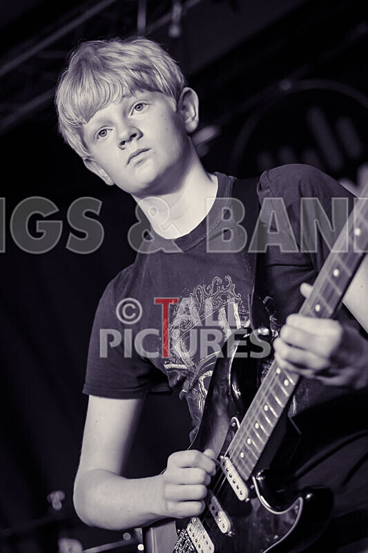 Pigeon Bomb-8 - PIGEON BOMB