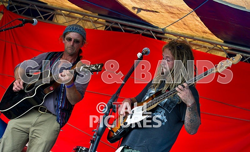 Big Sheep-7 - BIG SHEEP