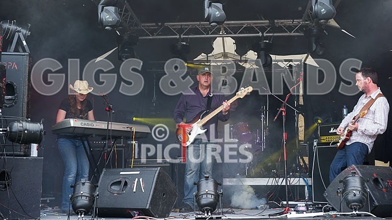 Wild Card-138 - WILD CARD