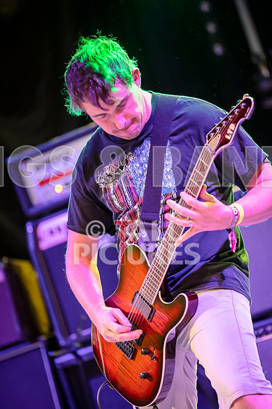 Granite Wolf-46 - GRANITE WOLF