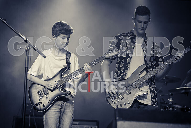 Alysida-37 - ALYSIDA