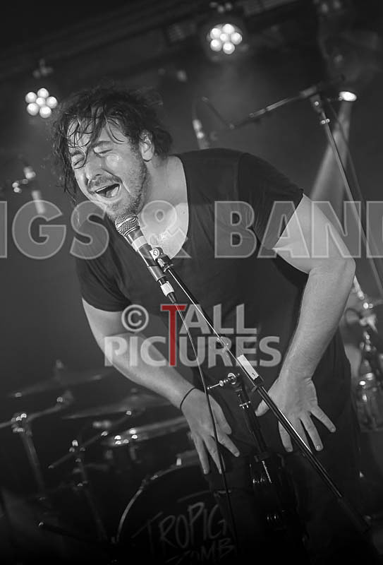 Tropical Zombie-39 - TROPICAL ZOMBIE