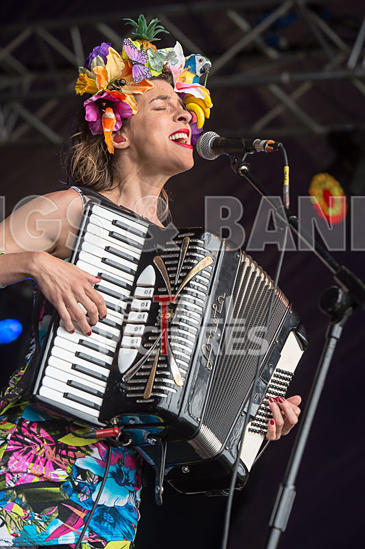 Molotov Jukebox-54 - MOLOTOV JUKEBOX