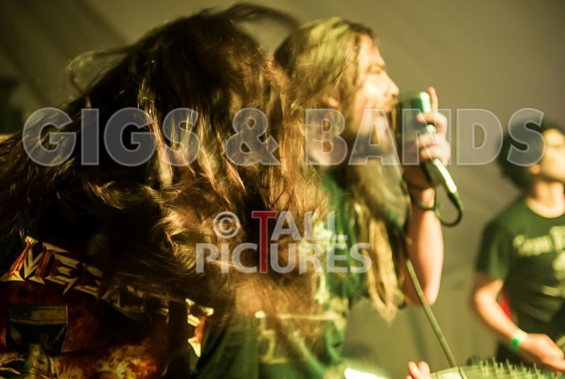 Stone Em All-99 - STONE EM ALL