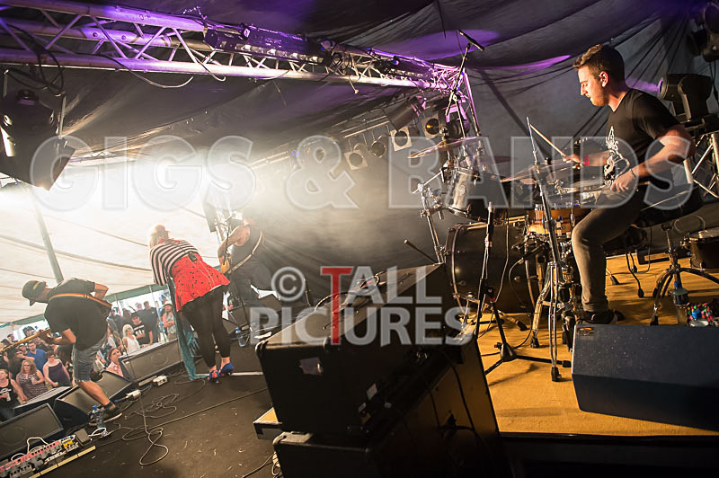 Static Alice-392 - STATIC ALICE