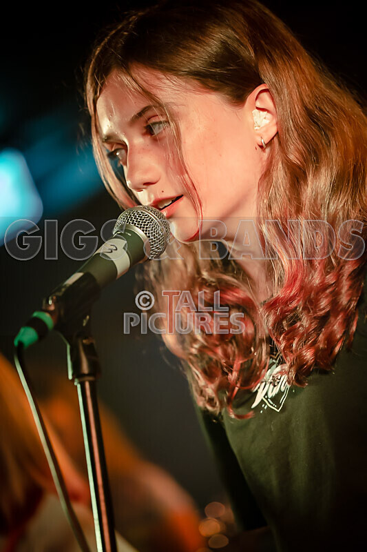 The Diehearts-10 - THE DIEHEARTS