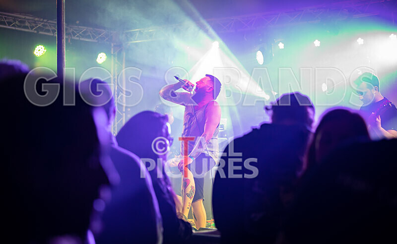 Granite Wolf-87 - GRANITE WOLF