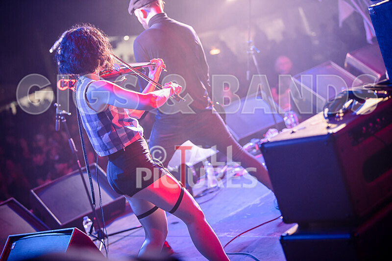 The King Blues-66 - THE KING BLUES