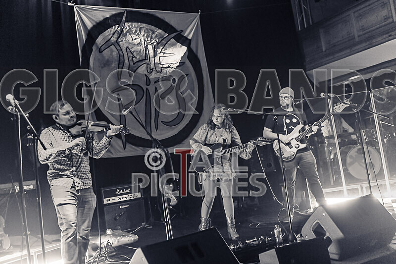 Kiya Ashton  the Folkadelics-6 - KIYA ASHTON & THE FOLKADELICS