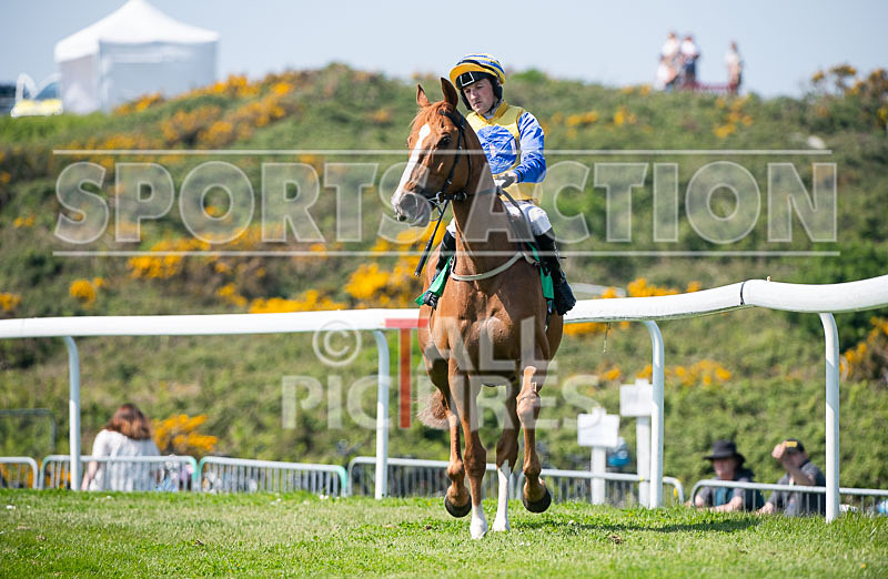 Guernsey Race Club Horse Racing 2018-30 - GUERNSEY RACE CLUB BANK HOLIDAY 2018