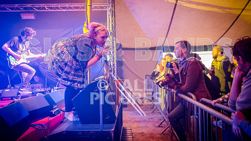 Static Alice-459 - STATIC ALICE