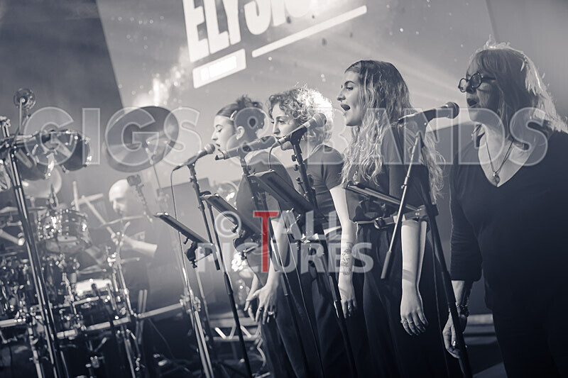 Elysium as Pink Floyd-263 - ELYSIUM as PINK FLOYD