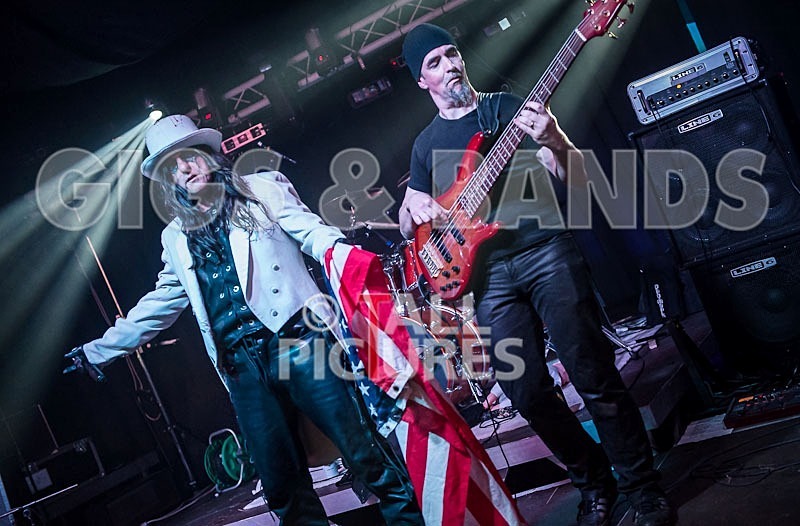 Gallus Cooper-71 - GALLUS COOPER