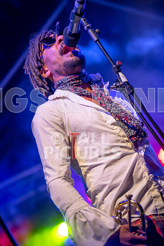 The Recks-970 - THE RECKS