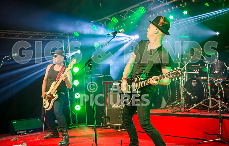 Peppered Ant Legs-212 - PEPPERED ANT LEGS