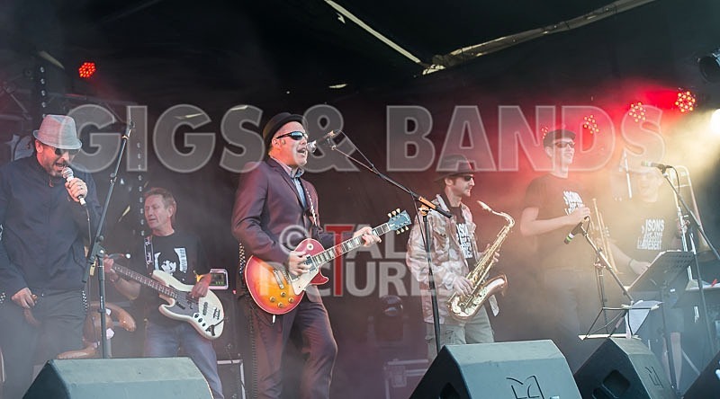 Sons of the Desert-215 - SONS OF THE DESERT