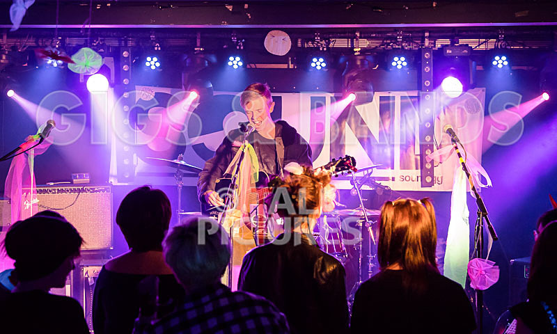 Zak Trimmer-5 - ZAK TRIMMER