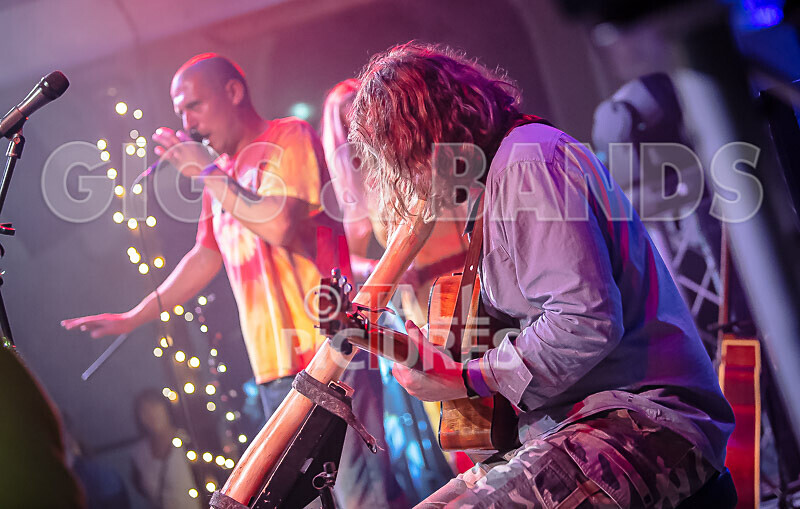 Buffalo Huddleston-625 - BUFFALO HUDDLESTON