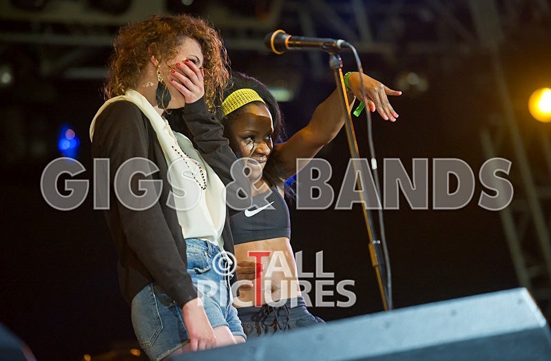 The Go Team-44 - THE GO! TEAM