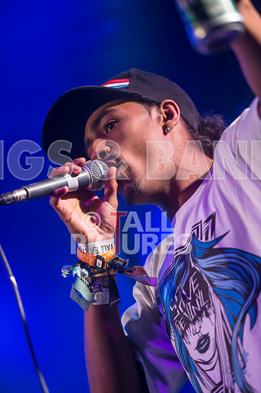 The Mouse Outfit-13 - THE MOUSE OUTFIT