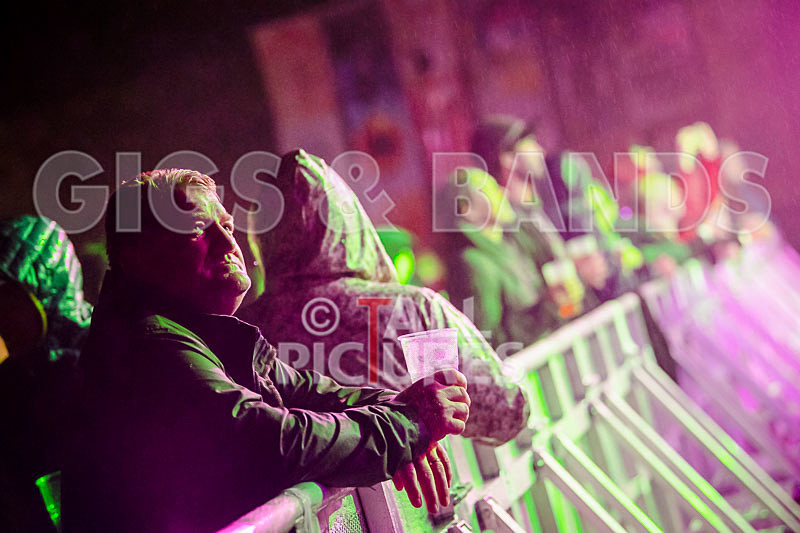 Vale Earth Fair 2018_SCENE-39 - VALE EARTH FAIR 2018_THE SCENE