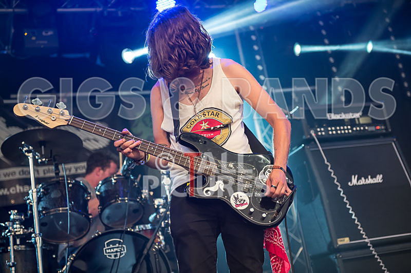 Rat Salad-19 - RAT SALAD