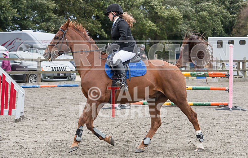 North Showjumping_2016-166 - NORTH SHOW SHOWJUMPING 2016