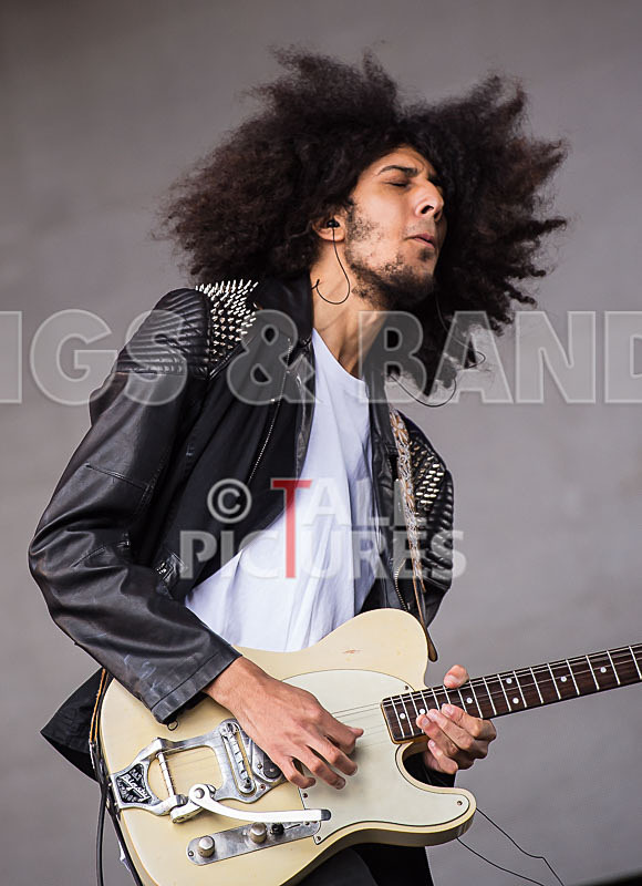 Diversity-36 - DIVERSITY