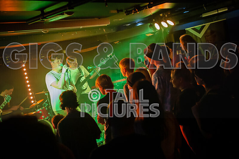 Black Dog-37 - BLACK DOG