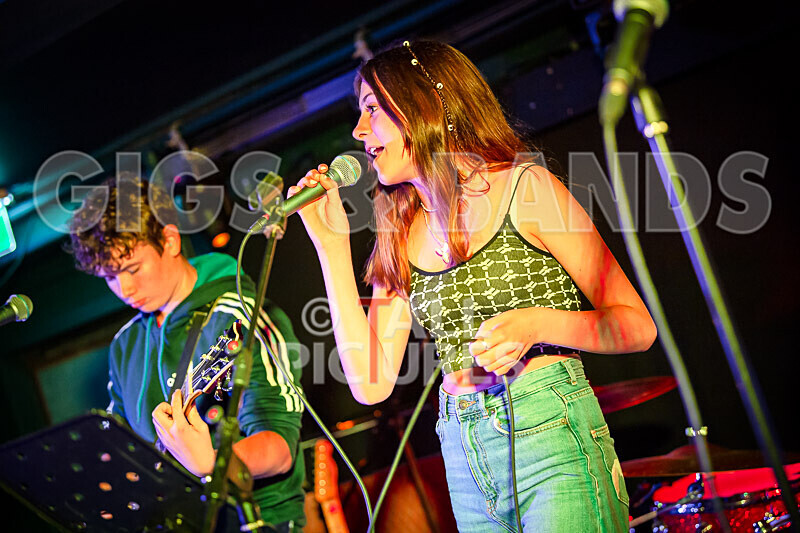 12 Gauge-19 - 12 GAUGE