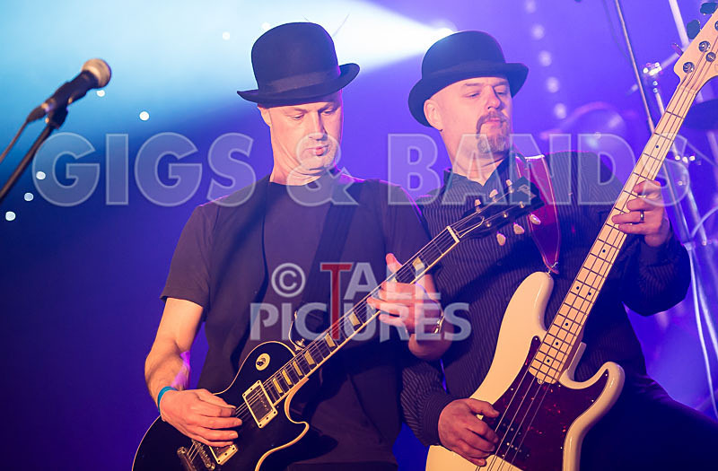 Peppered Ant Legs-180 - PEPPERED ANT LEGS