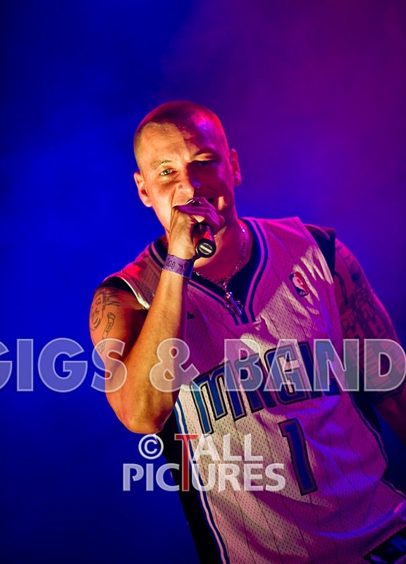 Asylum Seekas-65 - ASYLUM SEEKAS AT IVY CASTLE